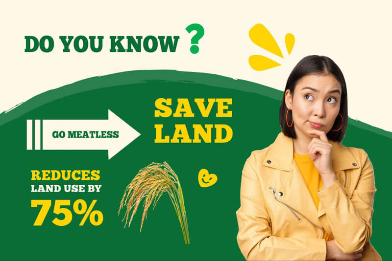 Plant-based Popular-02